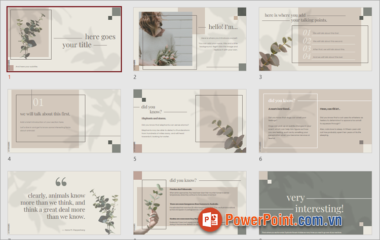 Mẫu PowerPoint miễn phí cực đẹp, đơn giản