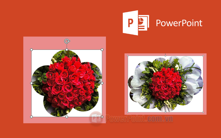 Cách cắt hình theo Shape trong PowerPoint