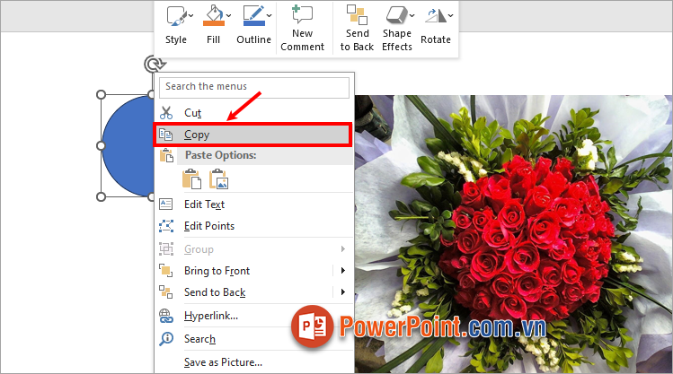 Nhấn chuột phải và chọn Copy để sao chép hình