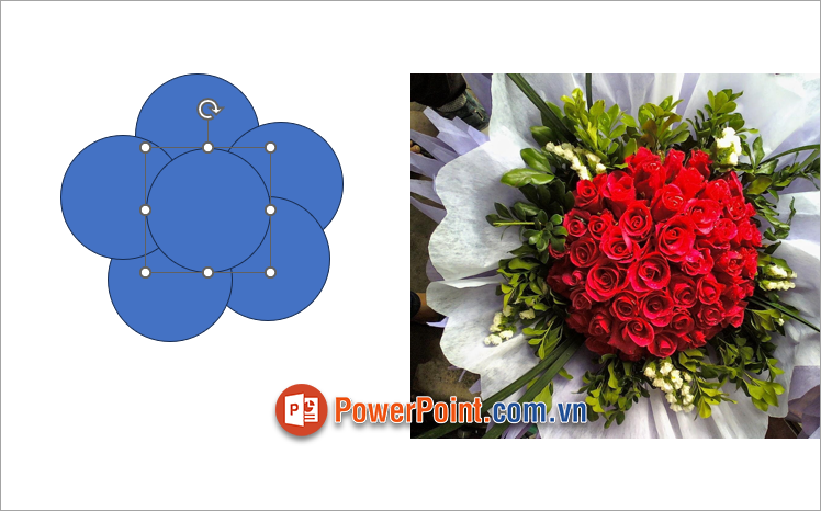 Sắp xếp hình theo hình bông hoa