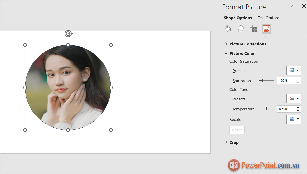 Chuyển sang thẻ Picture Color để thực hiện chỉnh sửa màu sắc cho hình ảnh Chuyển sang thẻ Picture Color để thực hiện chỉnh sửa màu sắc cho hình ảnh