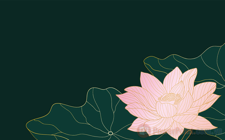 Hình nền PowerPoint hoa sen Hình nền PowerPoint hoa sen