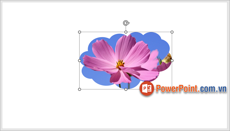 Hình ảnh sẽ được gộp vừa với hình khối bạn chọn