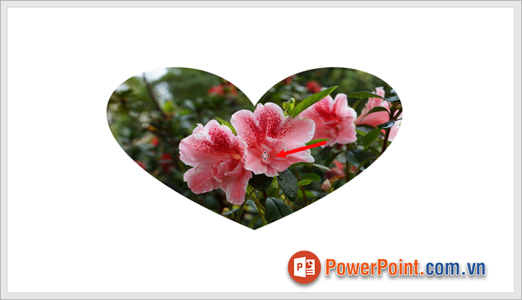 Nhấn giữ vào hình ảnh và di chuyển tới vị trí bạn muốn