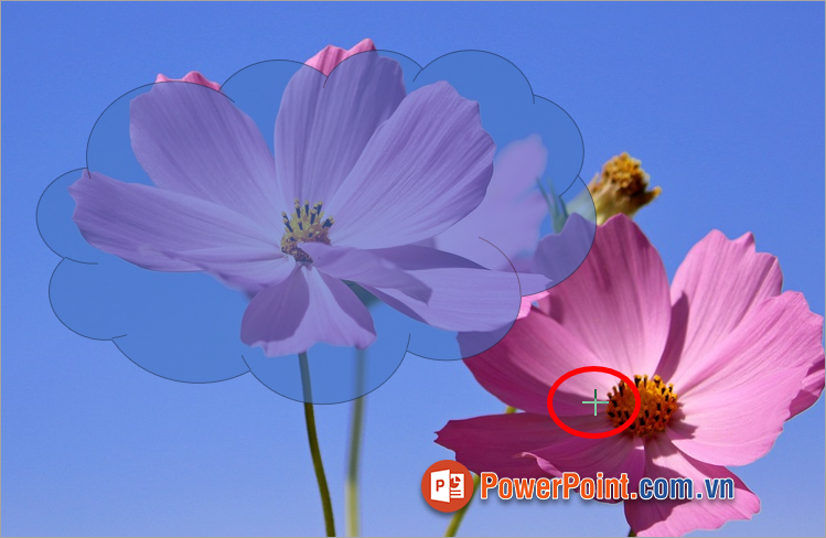 Xuất hiện con trỏ chuột hình dấu cộng, bạn vẽ hình khối vào slide