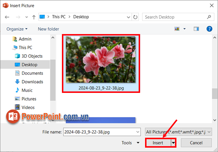 Xuất hiện cửa sổ Insert Picture, chọn hình ảnh cần chèn vào shape và ấn Insert