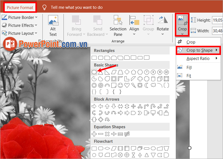 Cắt hình trong PowerPoint theo hình dạng bất kỳ Cắt hình trong PowerPoint theo hình dạng bất kỳ