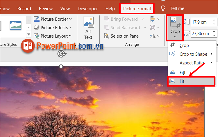 Chọn hình ảnh cần cắt, tiếp theo bạn chọn Picture Format ➔ Crop ➔ Fit Chọn hình ảnh cần cắt, tiếp theo bạn chọn Picture Format ➔ Crop ➔ Fit