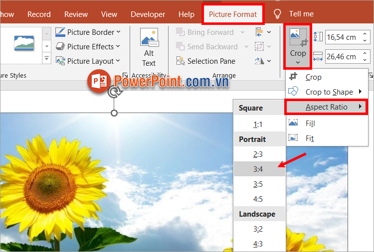 Chọn tiếp Picture Format ➔ Crop ➔ Aspect Ratio ➔ chọn tỉ lệ cắt hình mà bạn muốn Chọn tiếp Picture Format ➔ Crop ➔ Aspect Ratio ➔ chọn tỉ lệ cắt hình mà bạn muốn