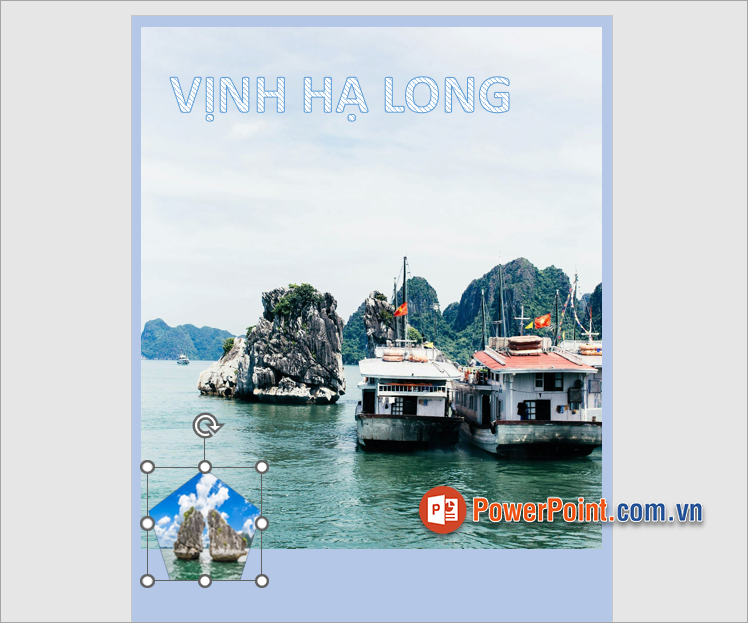 Như vậy bạn đã thêm hình nền vào shape