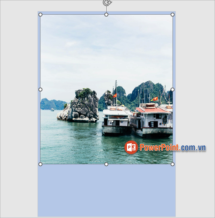 Tùy chỉnh kích thước và di chuyển hình ảnh đến vị trí bạn muốn trên poster