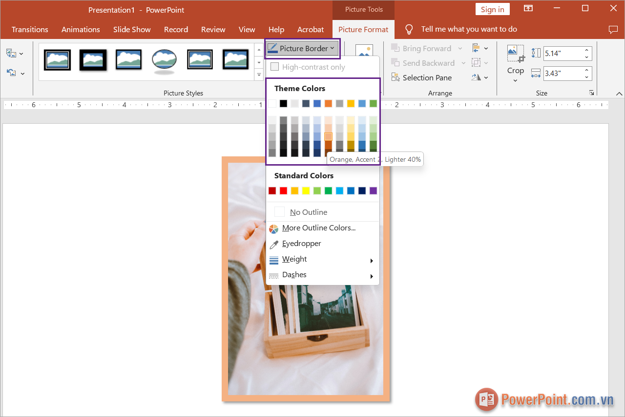 Chọn Picture Border để thay đổi màu sắc cho khung ảnh mới tạo trên PowerPoint