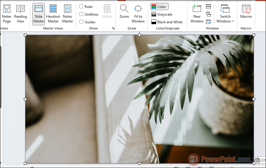 Tại Slide cần đổi nền, bạn nhấn tổ hợp Ctrl + V để dán background