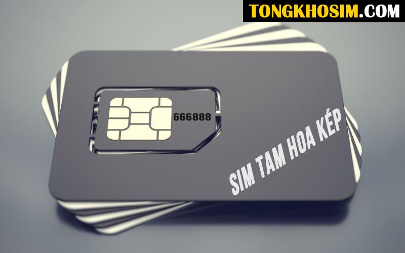Cách chọn sim tam hoa kép phù hợp với mệnh và tuổi?